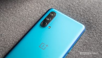 OnePlus Nord CE rear cameras