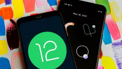 android 12 beta PEM big