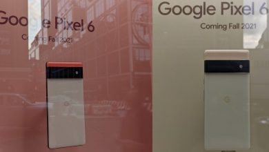 google pixel 6 display scaled