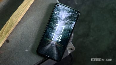 Google Pixel 5 Android 12 one year later