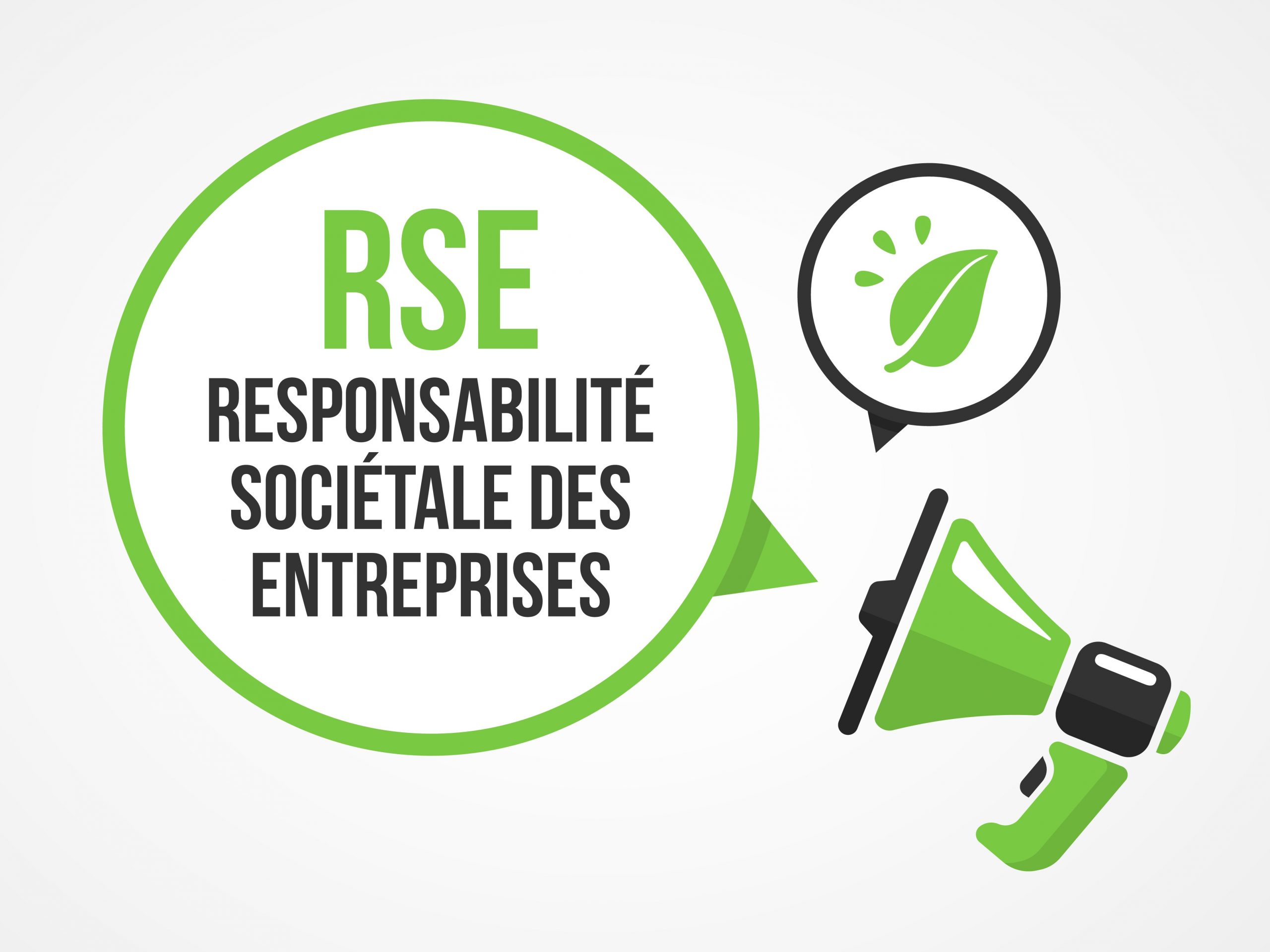 RSE Responsabilité Sociétale des Entreprises UNE scaled
