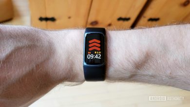 Fitbit Charge 5 Review On Wrist Top