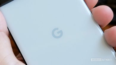 Google Logo on Google Pixel 6