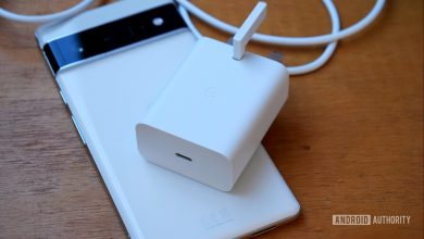 Google Pixel 6 30W charger