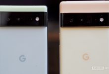 Google Pixel 6 and Pixel 6 Pro camera closeups