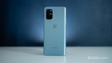 OnePlus 8T 2 scaled