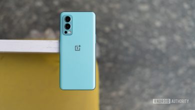 OnePlus Nord 2 review back of the phone