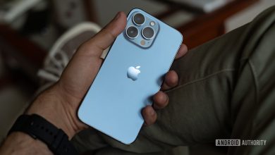 iPhone 13 Pro review showing back in hand