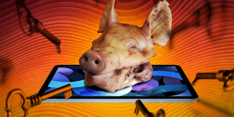 pig butchering security scam