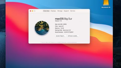 Mac2 GUI via VNC