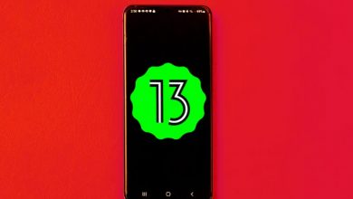android 13 pixel big