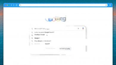 google search end big