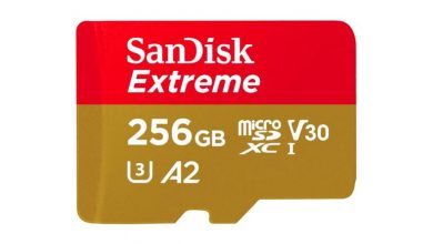 SanDisk Extreme 256 770