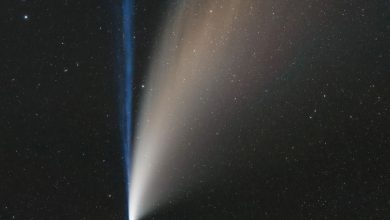 c 2022 e3 ztf comment photographier la comete qui va passer pres de la terre 1200