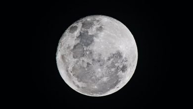 lune pexels bruno scramgnon 596134 big